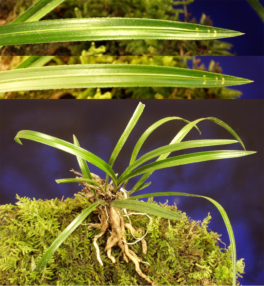 ������ ū������ �� �� �ֽ��ϴ�.