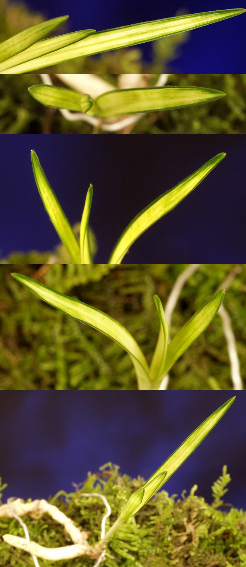 ������ ū������ �� �� �ֽ��ϴ�.