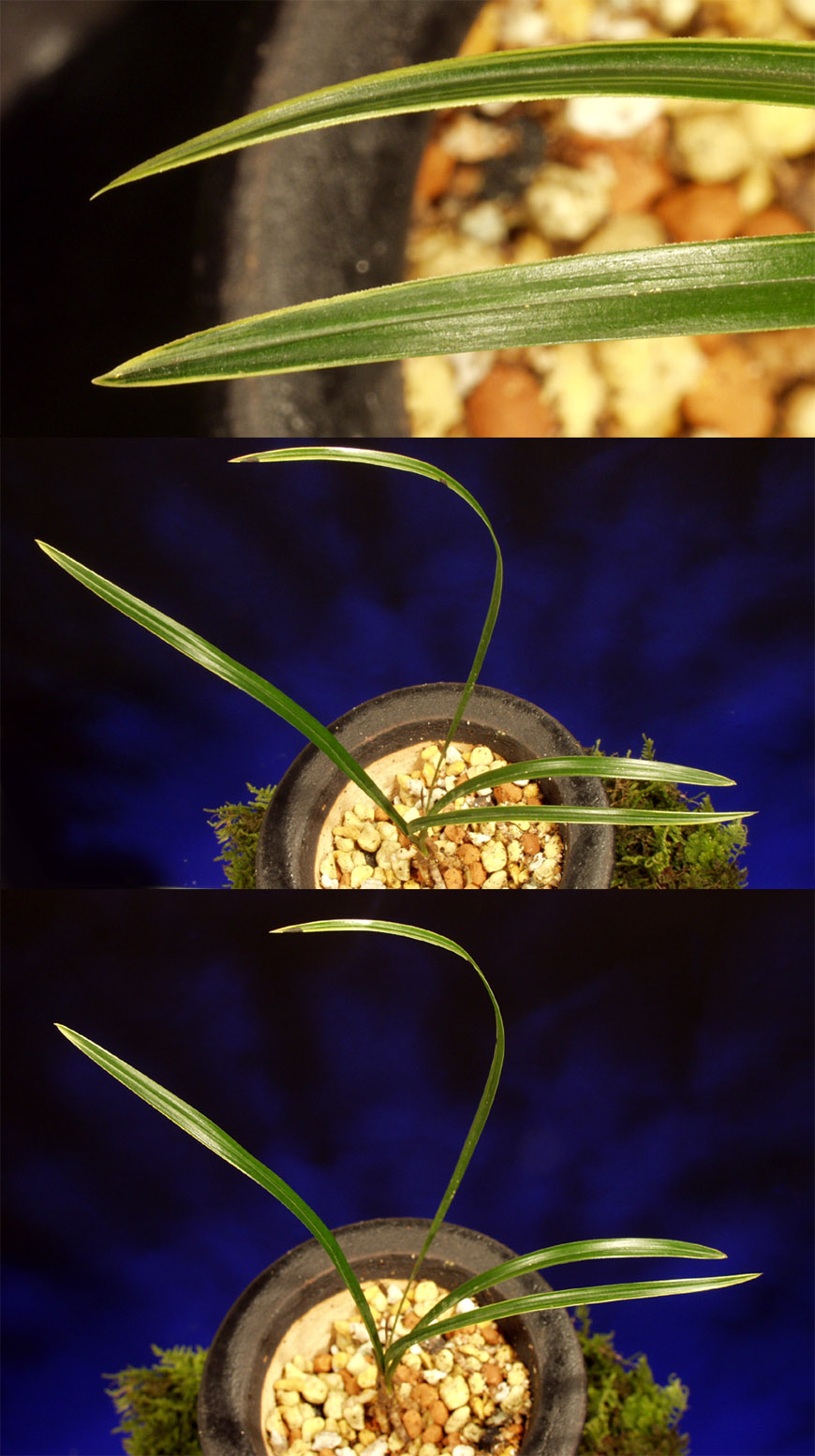 ������ ū������ �� �� �ֽ��ϴ�.