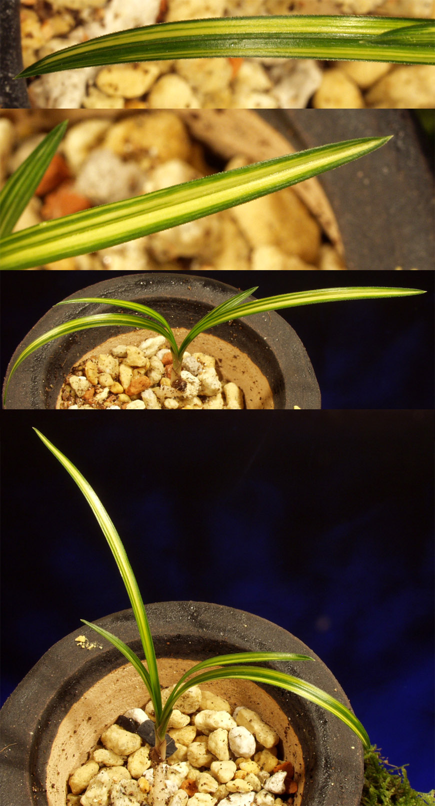 ������ ū������ �� �� �ֽ��ϴ�.