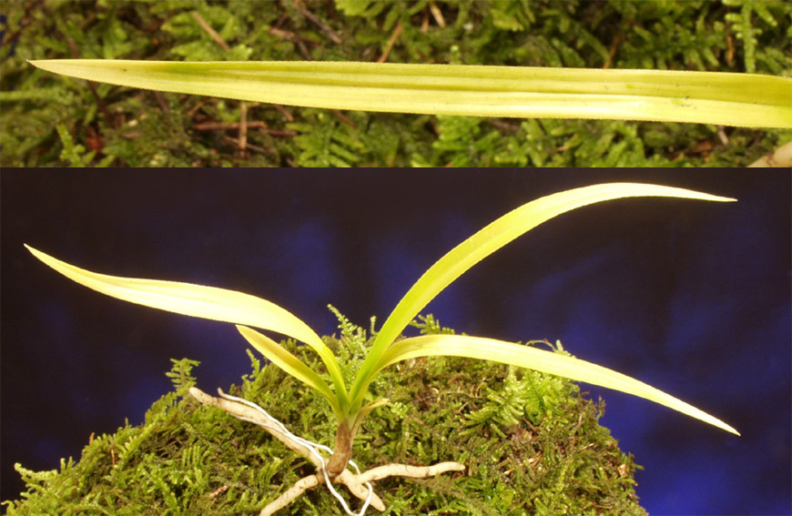 ������ ū������ �� �� �ֽ��ϴ�.