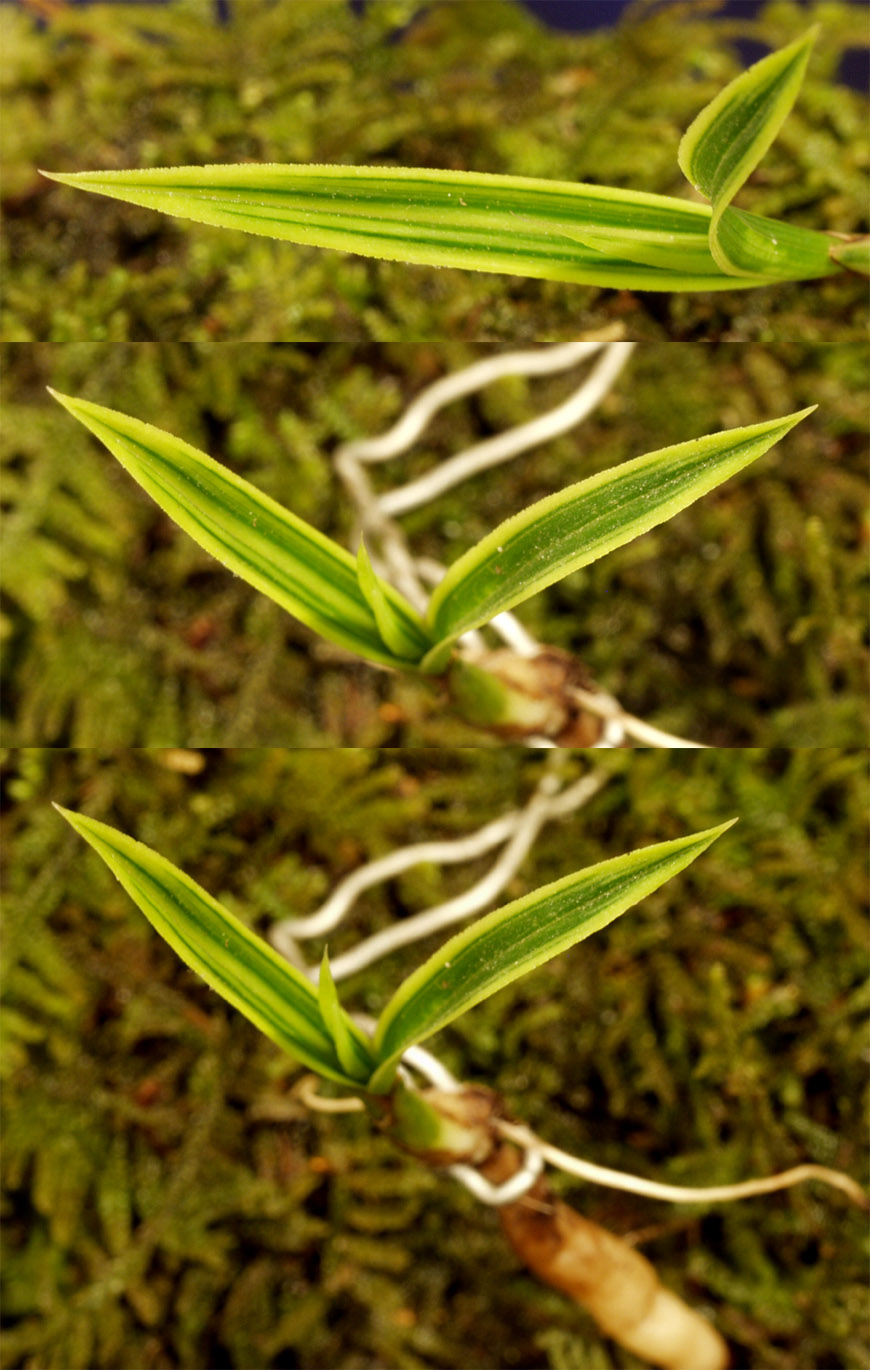 ������ ū������ �� �� �ֽ��ϴ�.