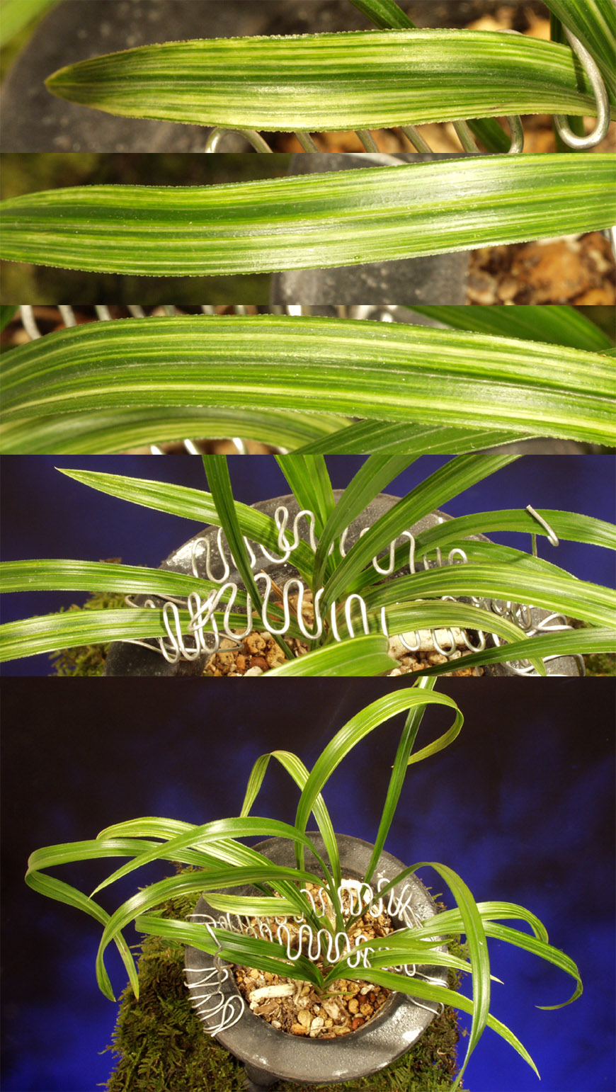 ������ ū������ �� �� �ֽ��ϴ�.