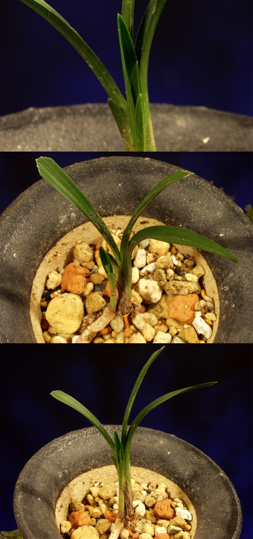 ������ ū������ �� �� �ֽ��ϴ�.