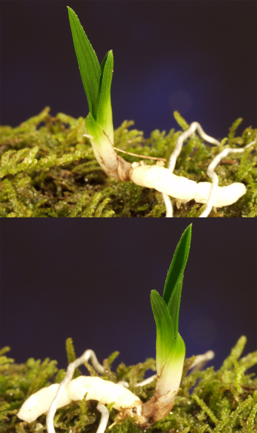 ������ ū������ �� �� �ֽ��ϴ�.