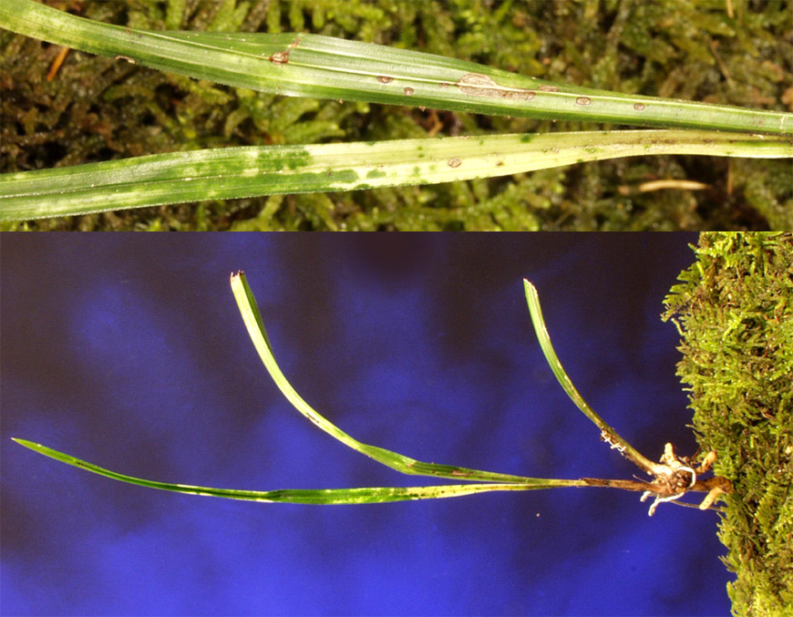 ������ ū������ �� �� �ֽ��ϴ�.