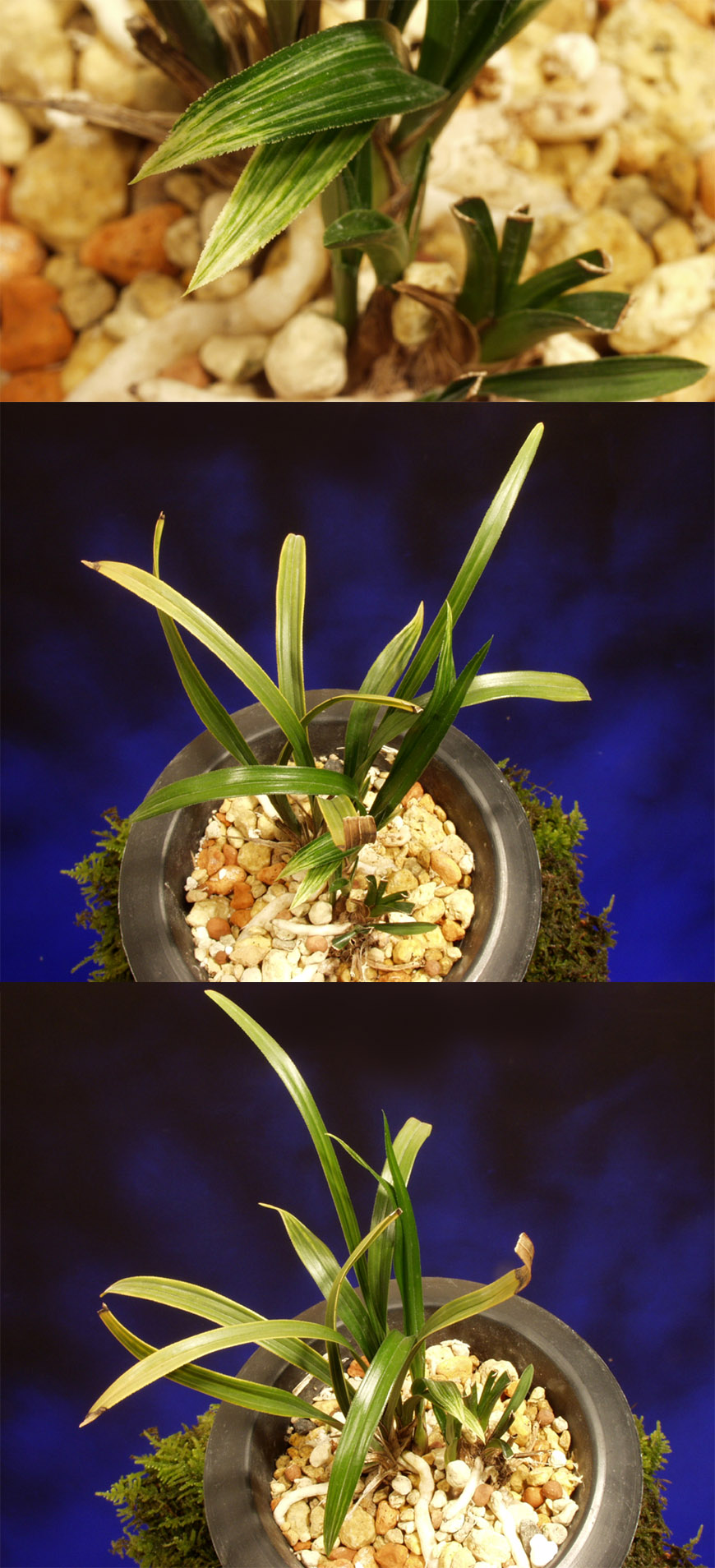 ������ ū������ �� �� �ֽ��ϴ�.