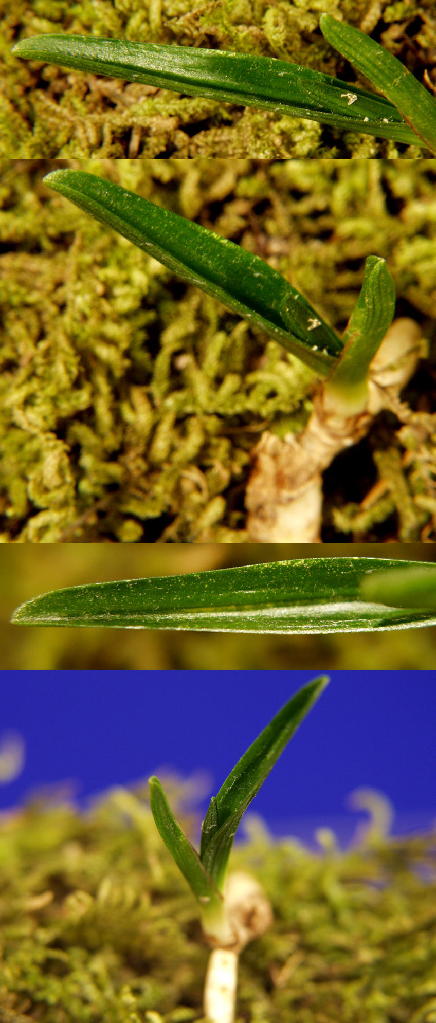 ������ ū������ �� �� �ֽ��ϴ�.