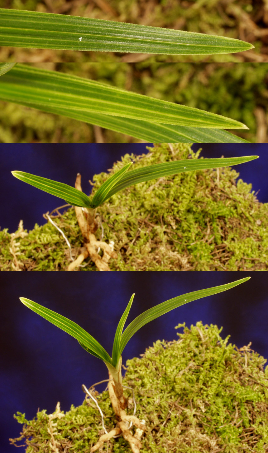 ������ ū������ �� �� �ֽ��ϴ�.