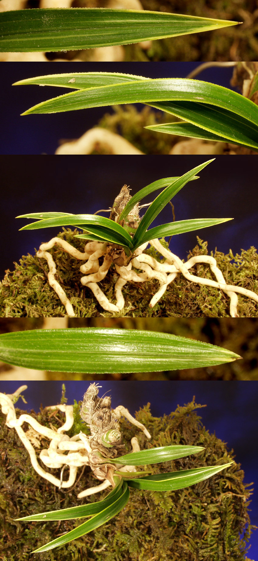 ������ ū������ �� �� �ֽ��ϴ�.