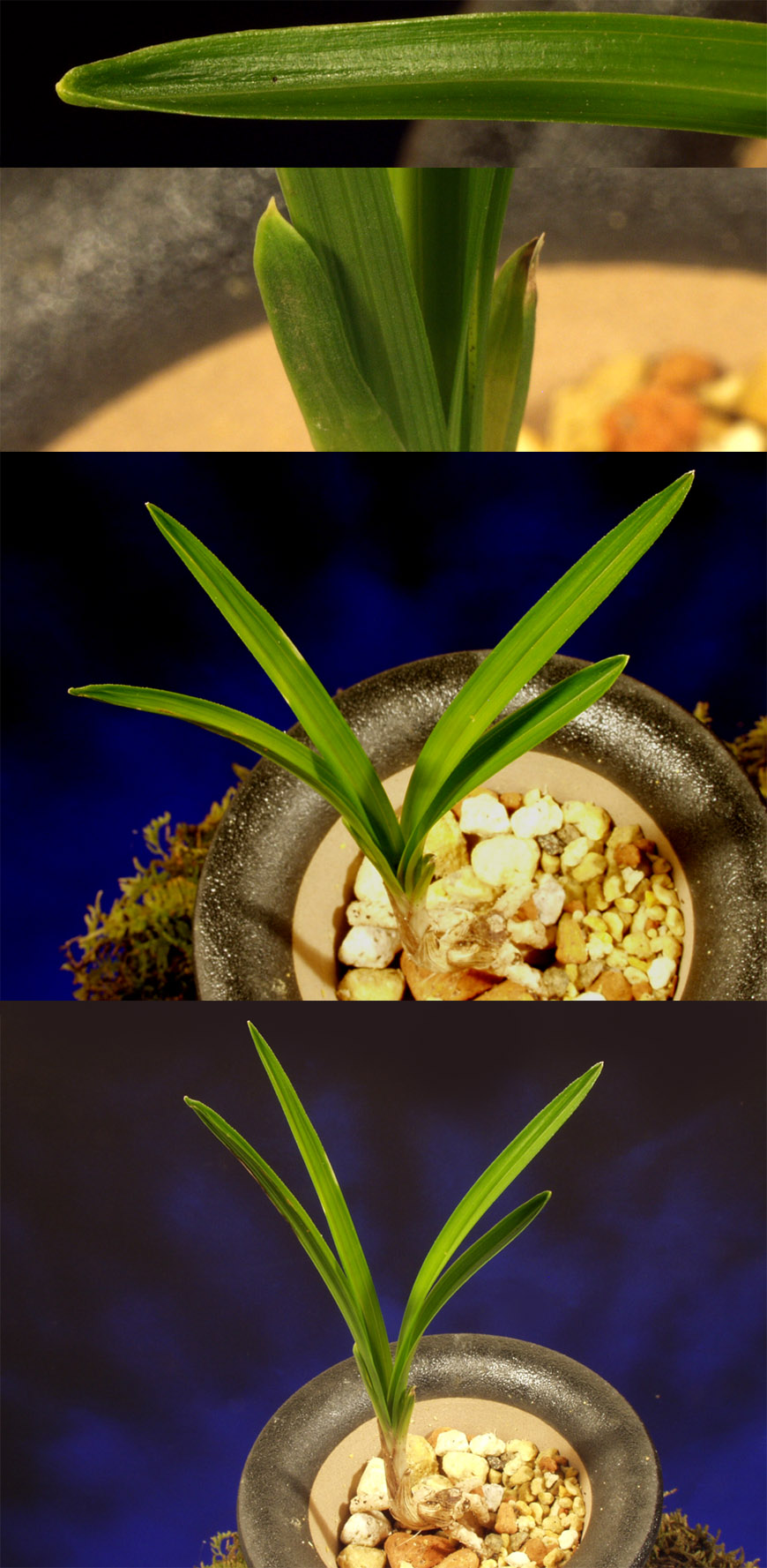 ������ ū������ �� �� �ֽ��ϴ�.