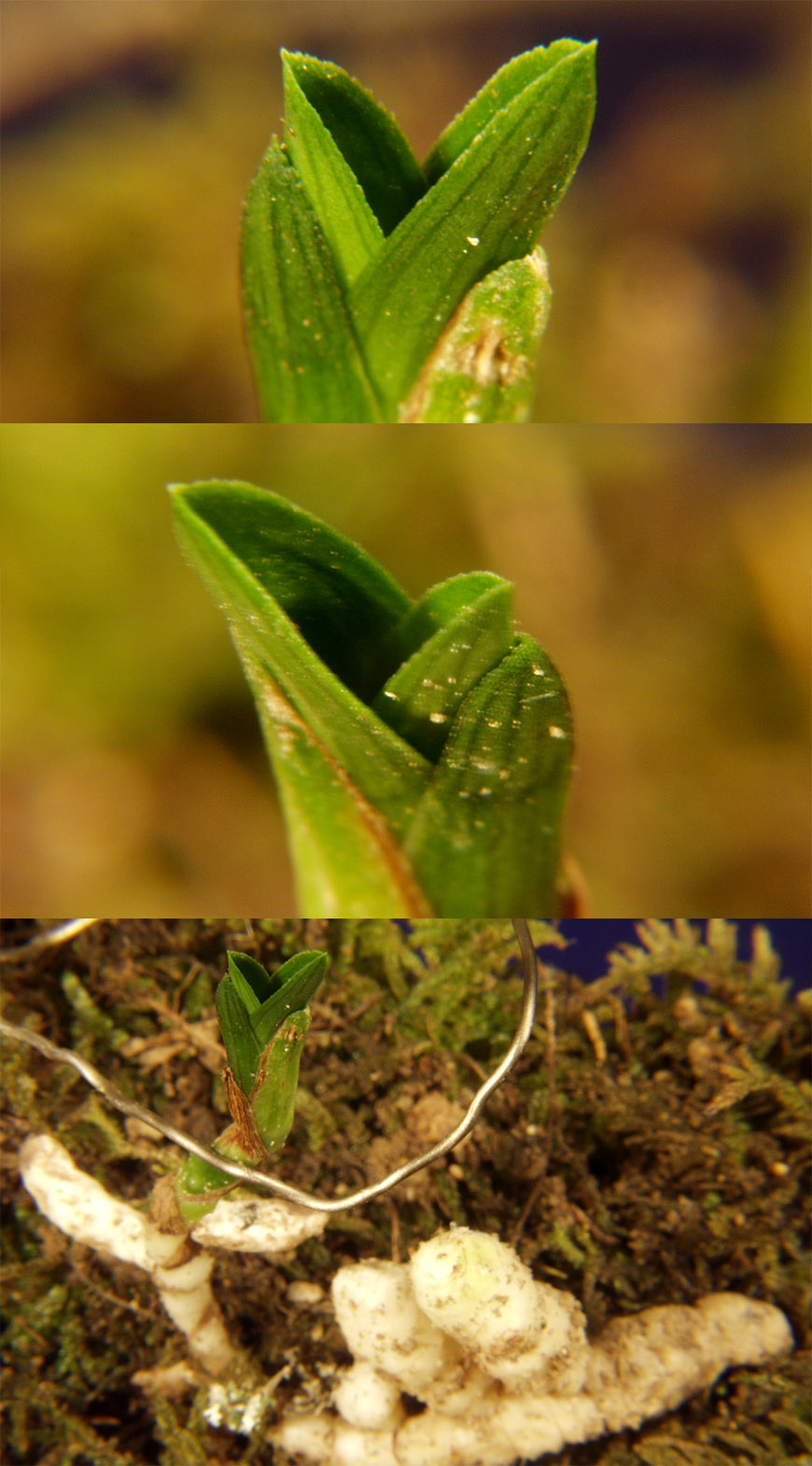 ������ ū������ �� �� �ֽ��ϴ�.