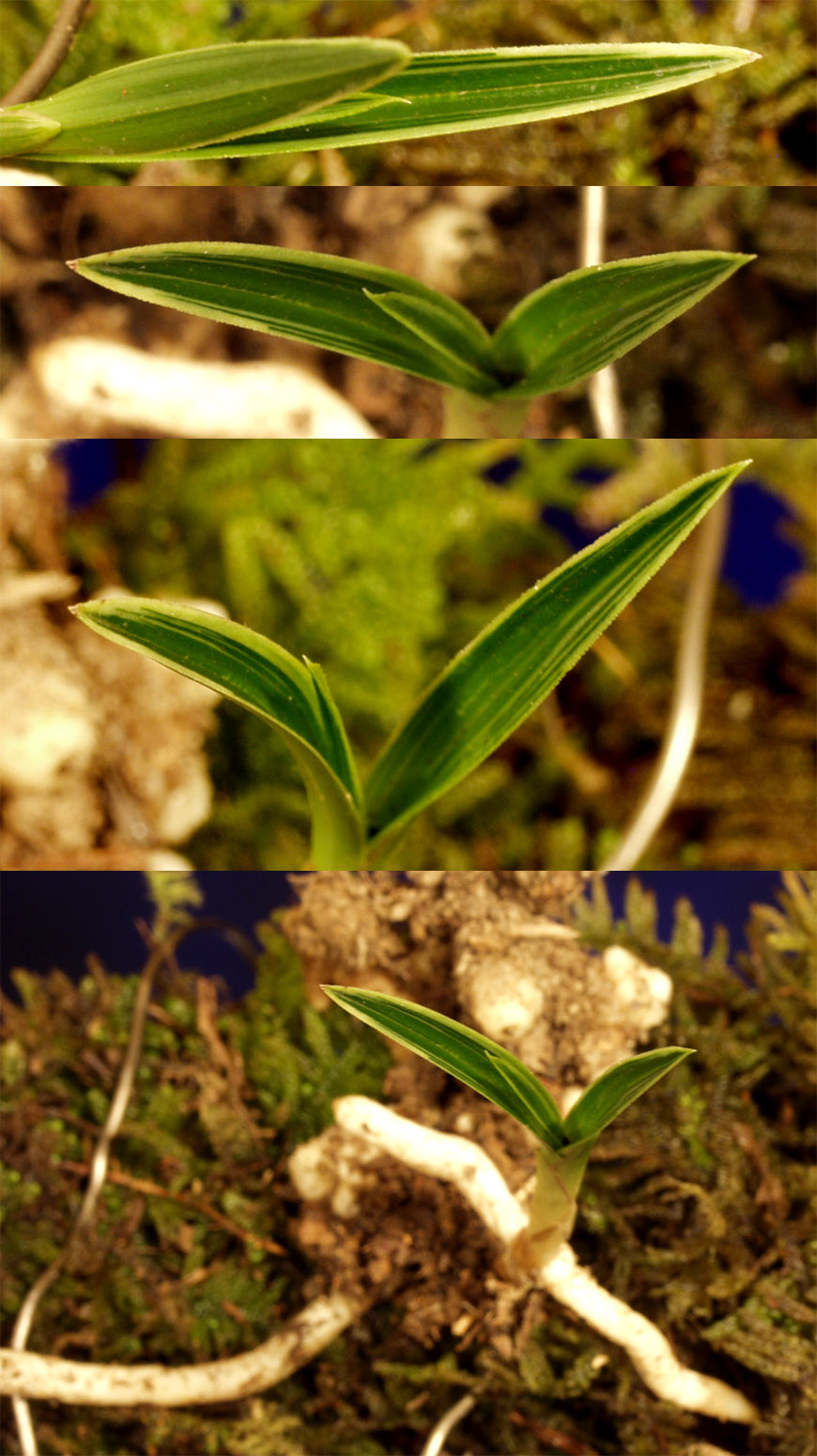 ������ ū������ �� �� �ֽ��ϴ�.