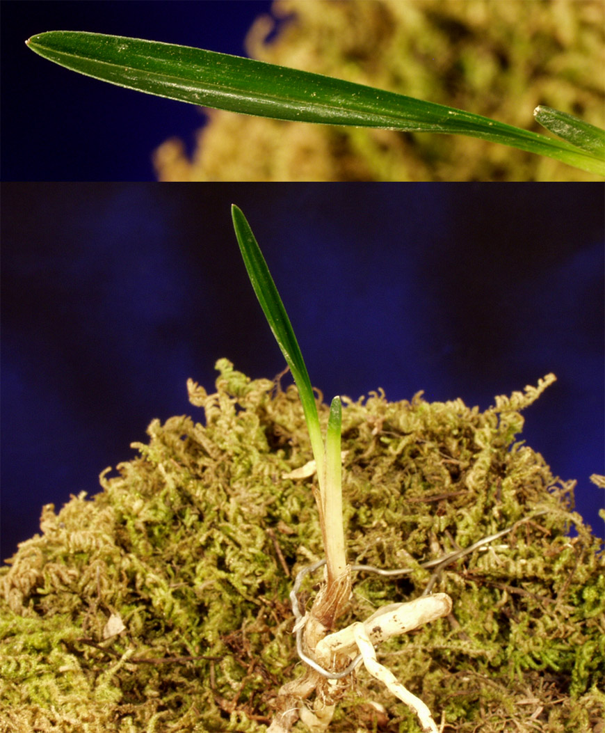 ������ ū������ �� �� �ֽ��ϴ�.