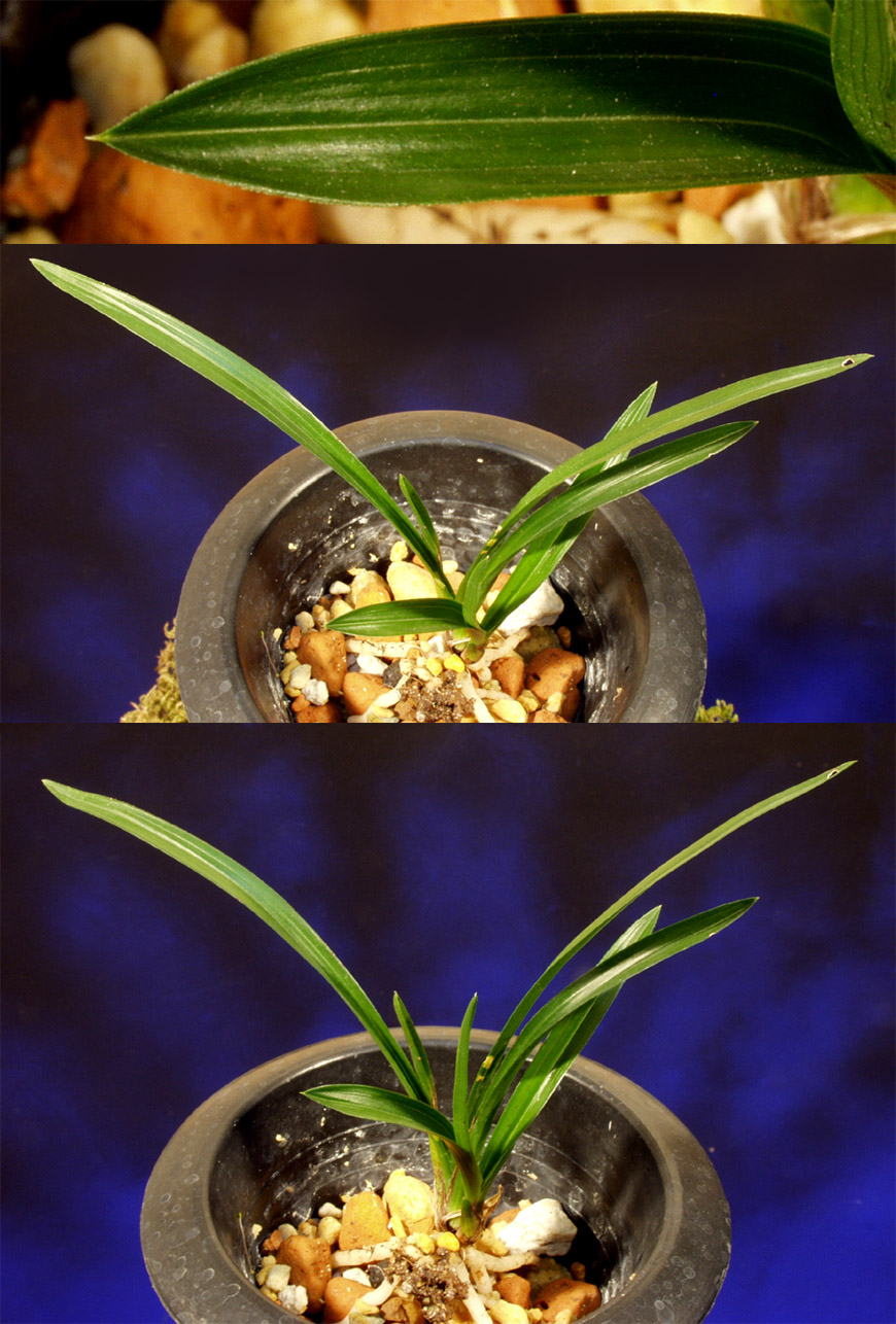 ������ ū������ �� �� �ֽ��ϴ�.