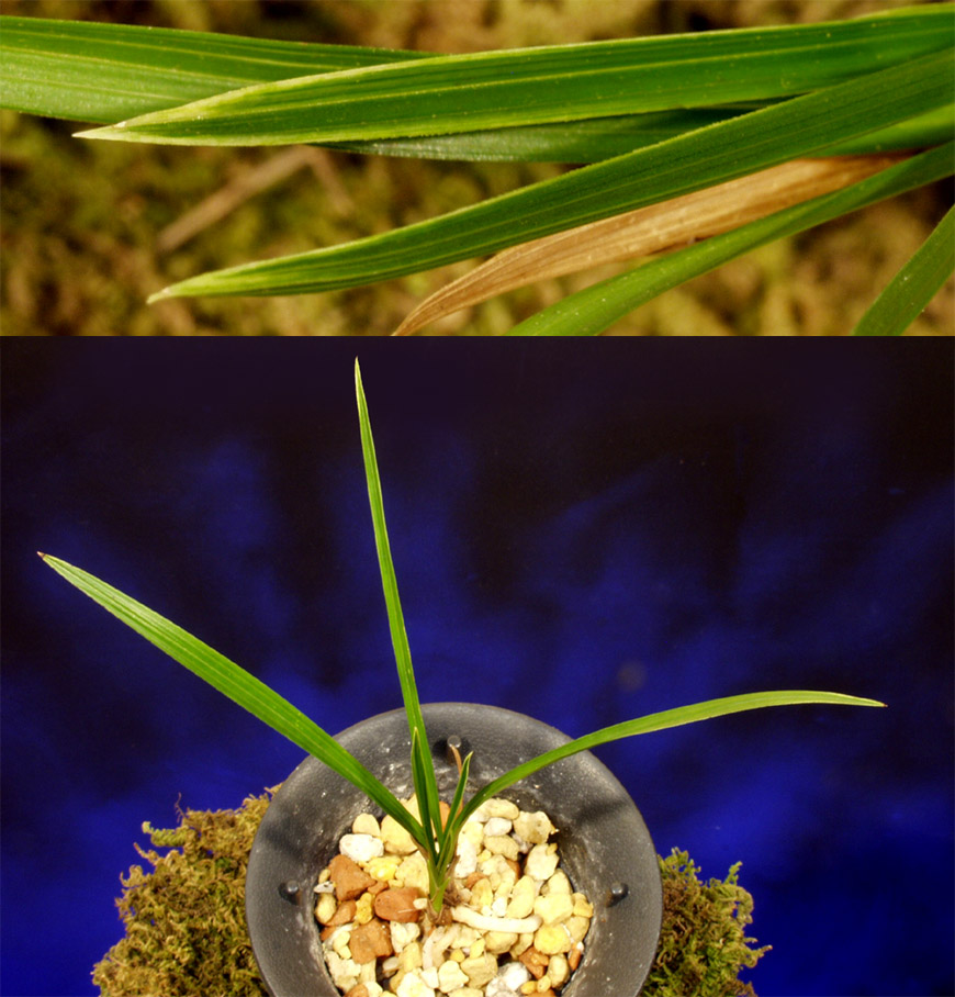 ������ ū������ �� �� �ֽ��ϴ�.