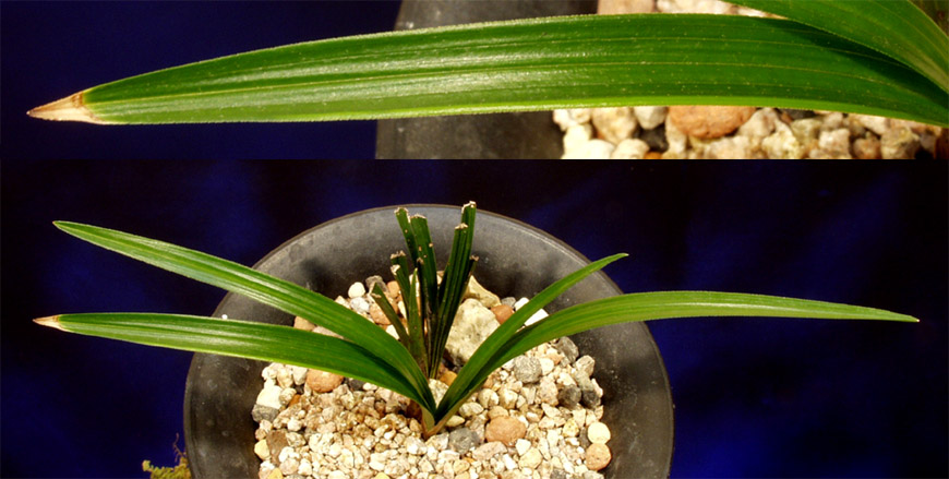 ������ ū������ �� �� �ֽ��ϴ�.