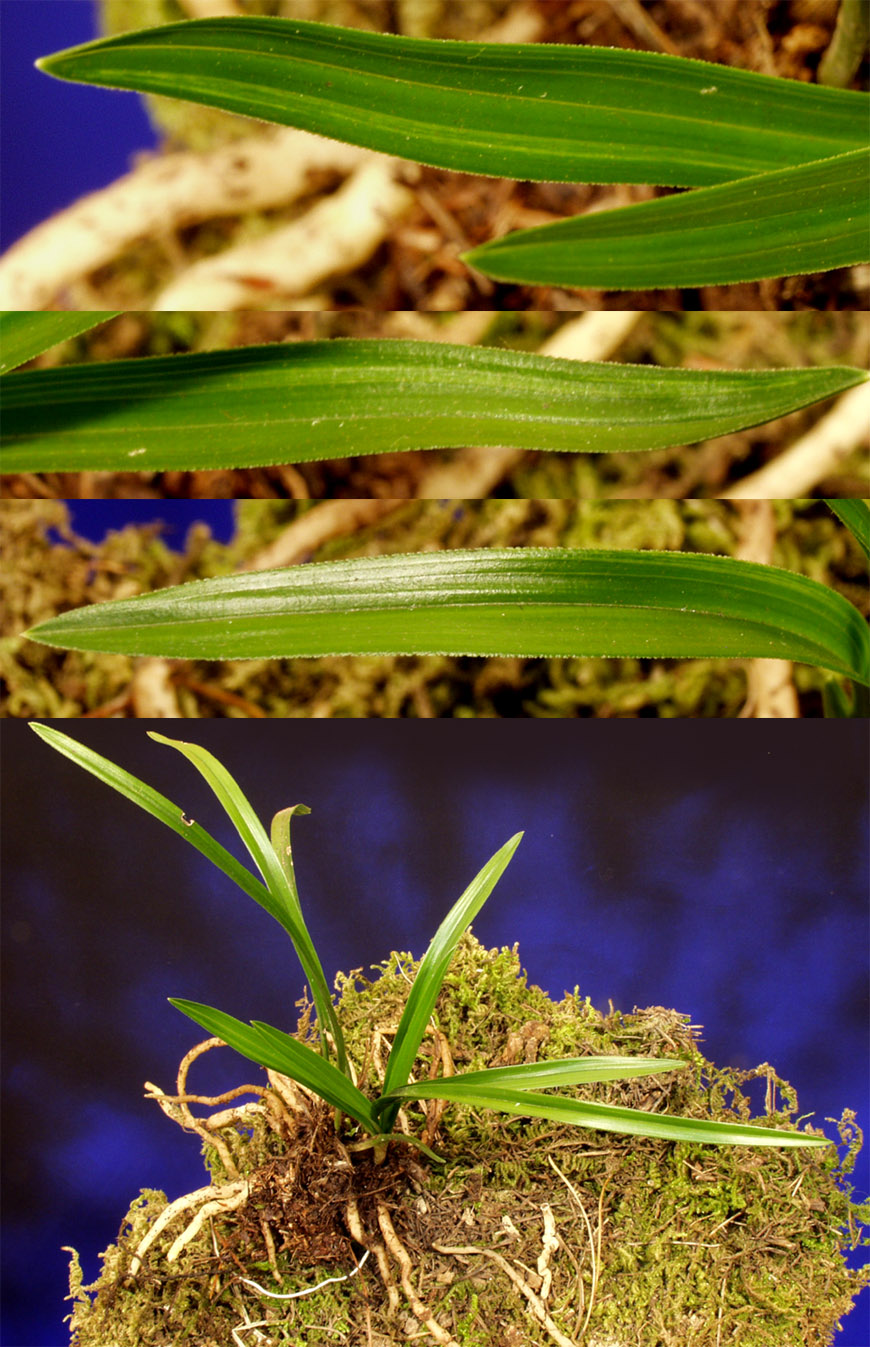 ������ ū������ �� �� �ֽ��ϴ�.