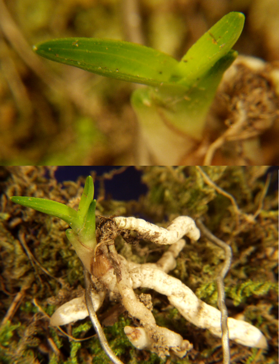 ������ ū������ �� �� �ֽ��ϴ�.