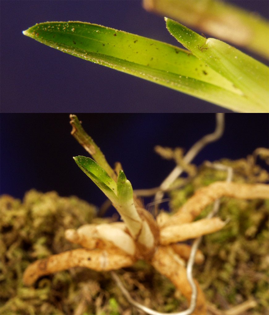 ������ ū������ �� �� �ֽ��ϴ�.