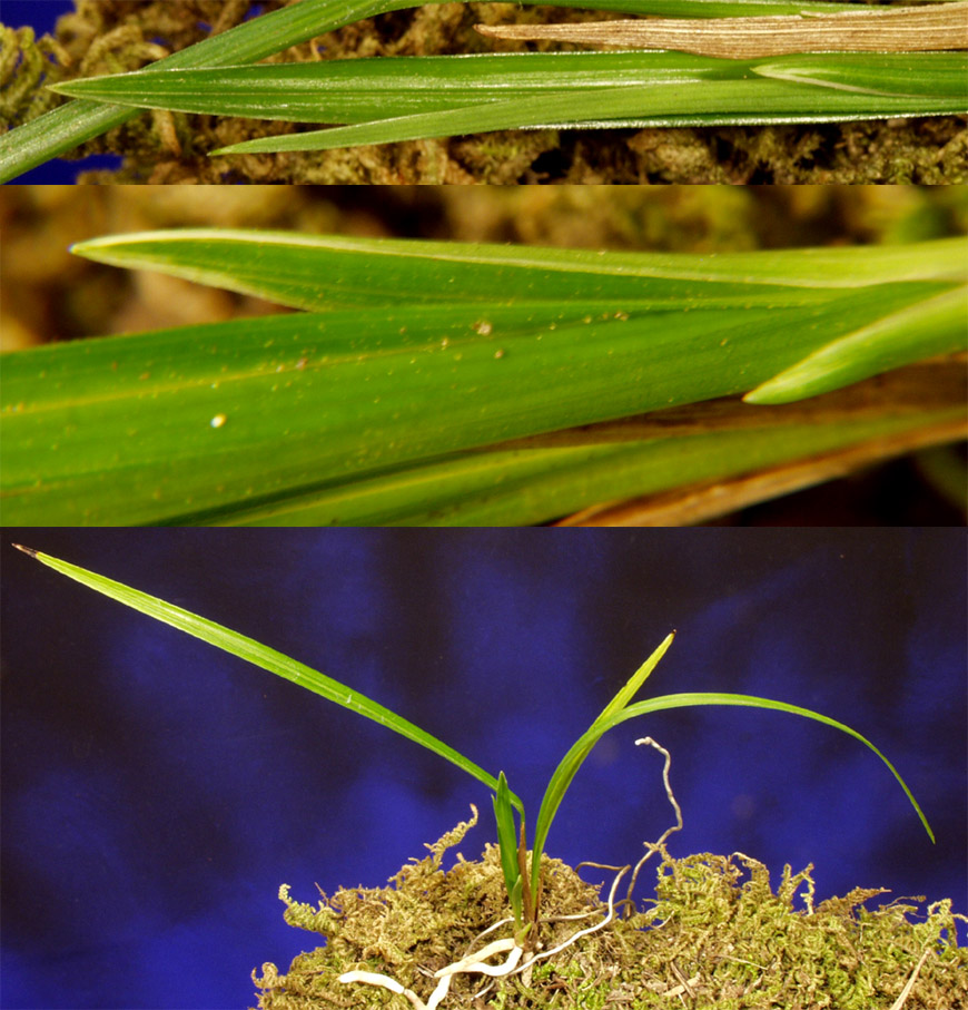 ������ ū������ �� �� �ֽ��ϴ�.