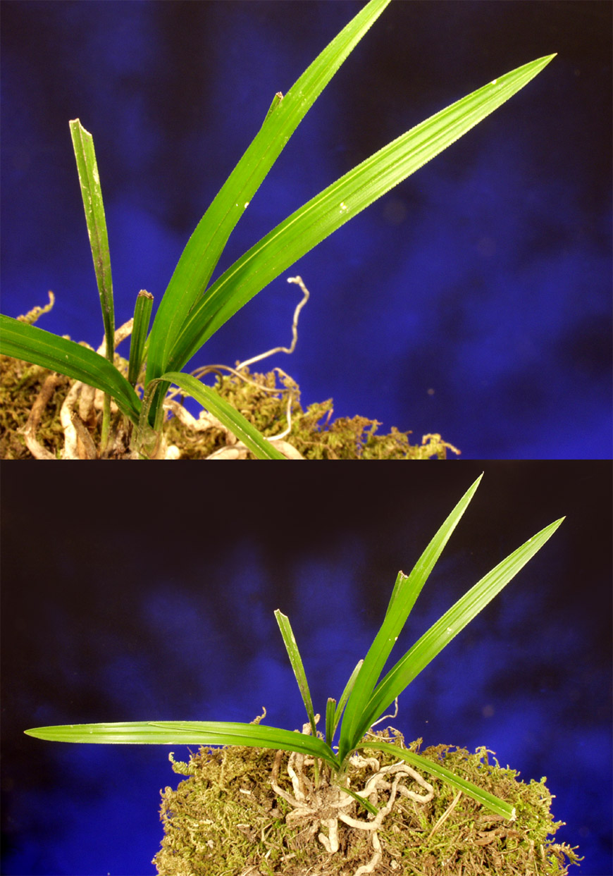 ������ ū������ �� �� �ֽ��ϴ�.