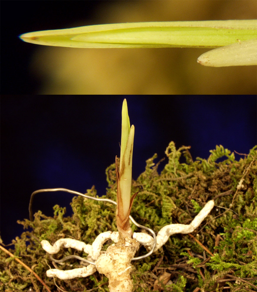 ������ ū������ �� �� �ֽ��ϴ�.