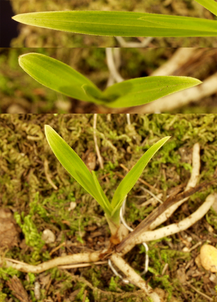 ������ ū������ �� �� �ֽ��ϴ�.