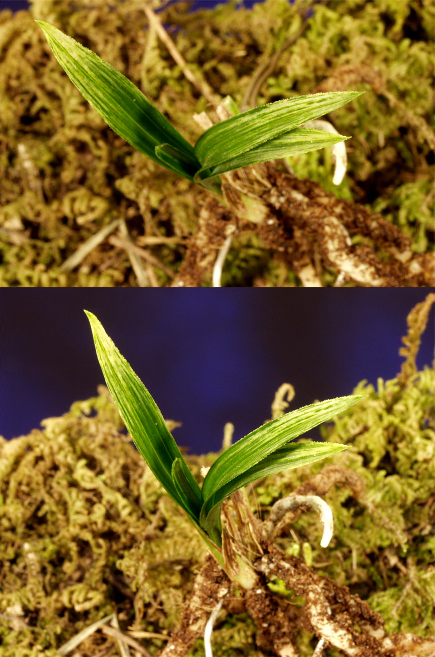 ������ ū������ �� �� �ֽ��ϴ�.