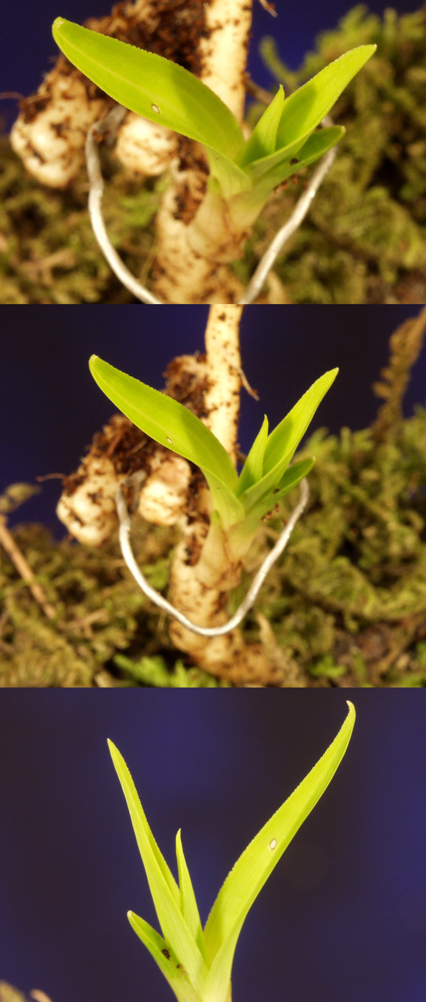 ������ ū������ �� �� �ֽ��ϴ�.