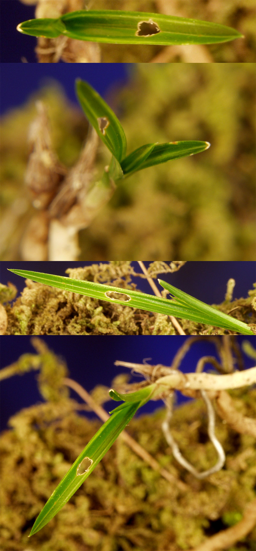 ������ ū������ �� �� �ֽ��ϴ�.