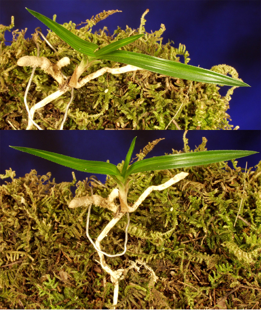 ������ ū������ �� �� �ֽ��ϴ�.