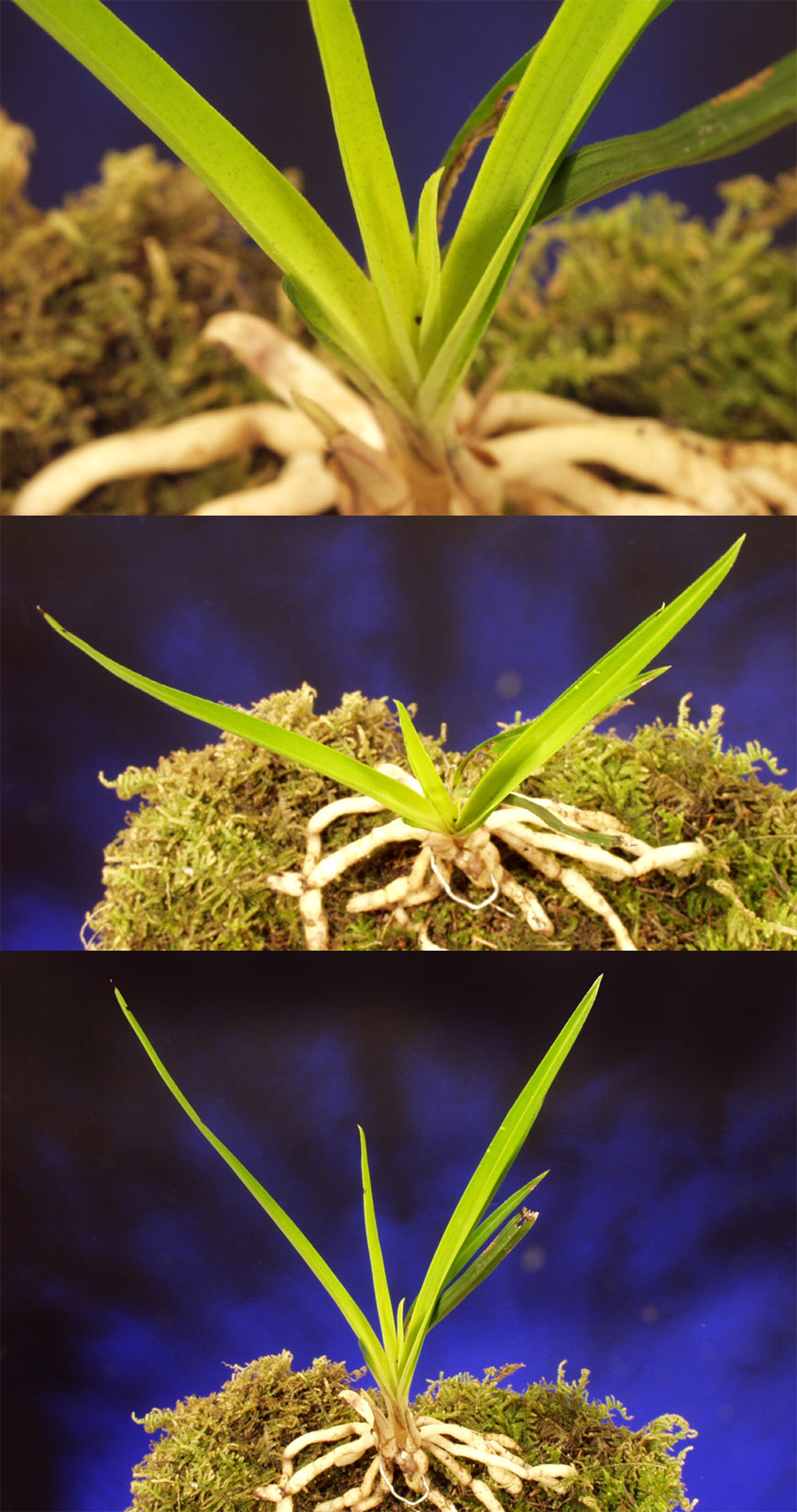 ������ ū������ �� �� �ֽ��ϴ�.