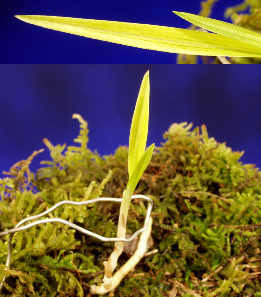 ������ ū������ �� �� �ֽ��ϴ�.