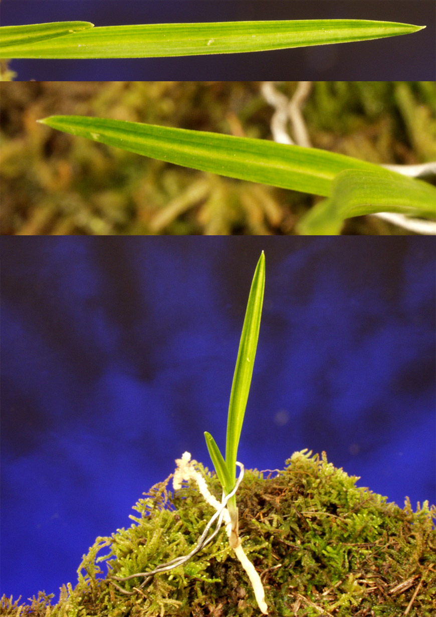 ������ ū������ �� �� �ֽ��ϴ�.