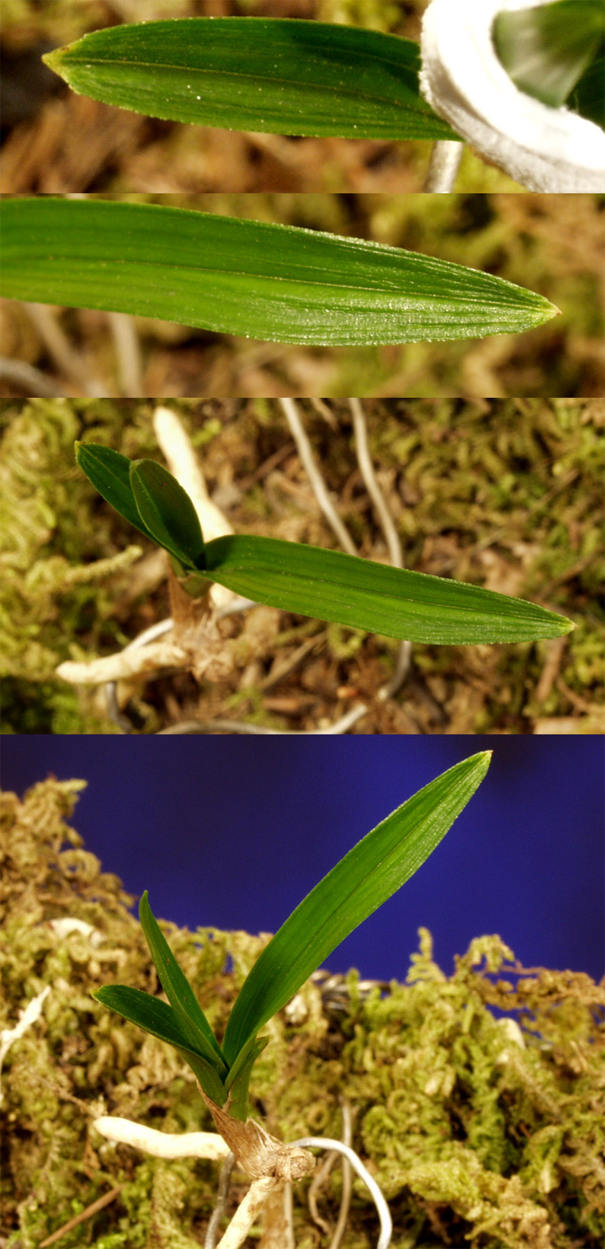 ������ ū������ �� �� �ֽ��ϴ�.