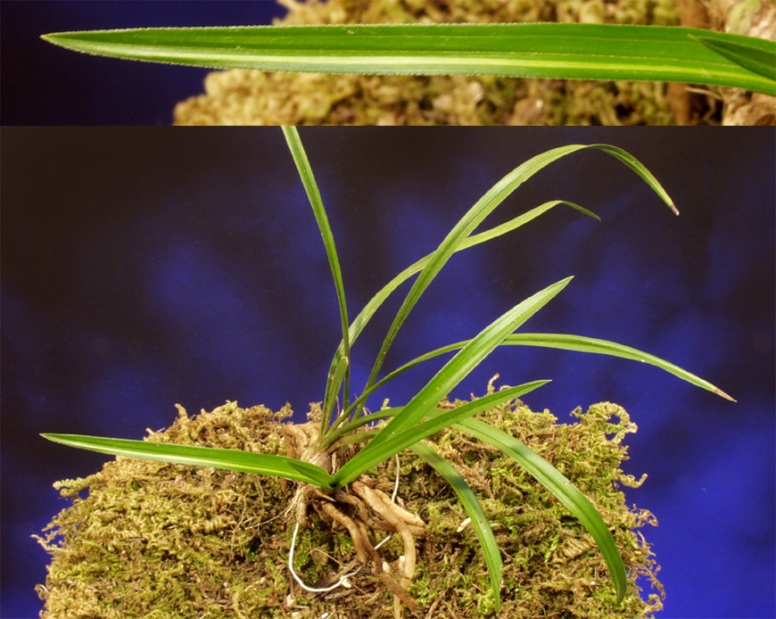 ������ ū������ �� �� �ֽ��ϴ�.