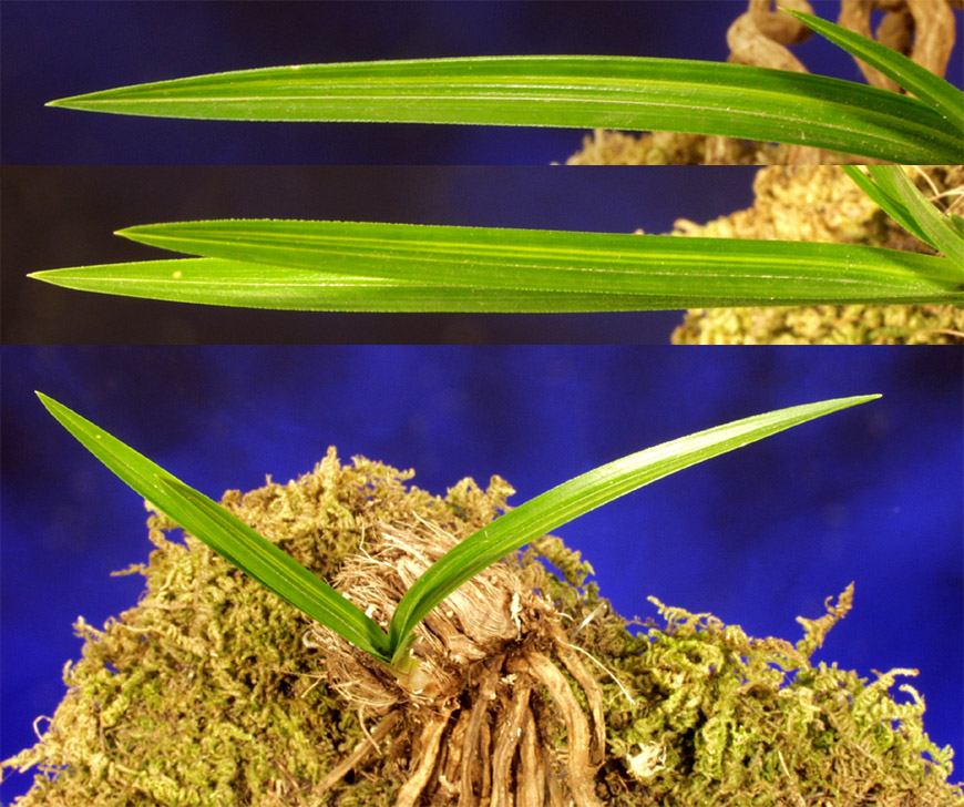 ������ ū������ �� �� �ֽ��ϴ�.