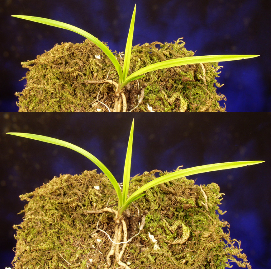 ������ ū������ �� �� �ֽ��ϴ�.