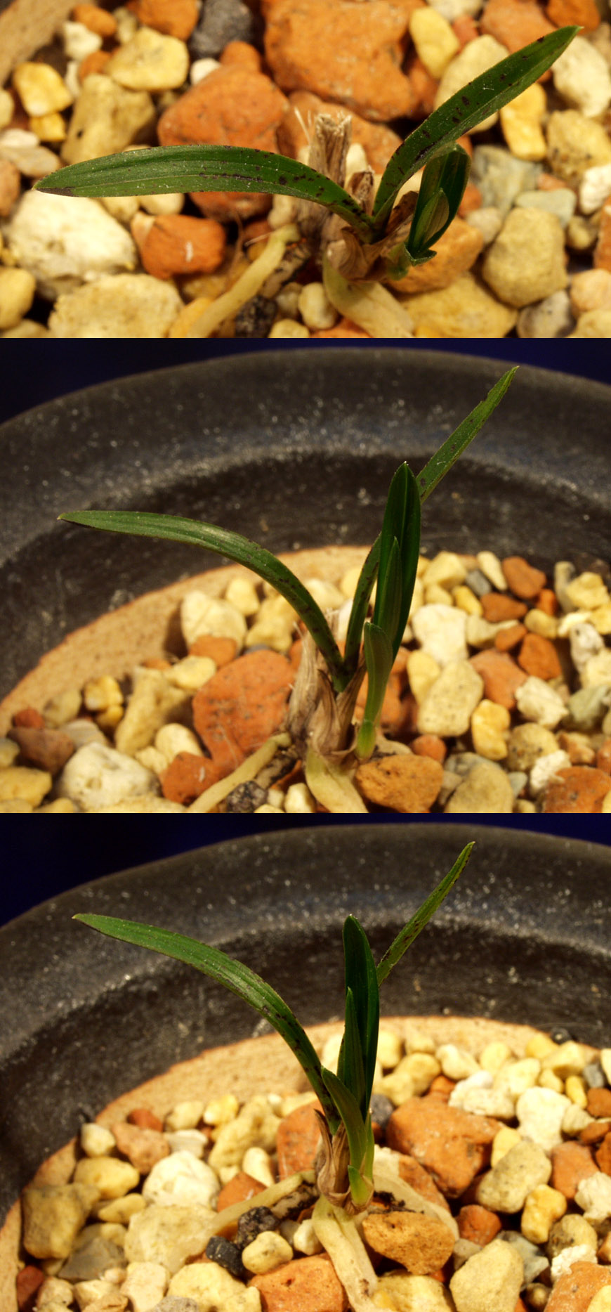 ������ ū������ �� �� �ֽ��ϴ�.