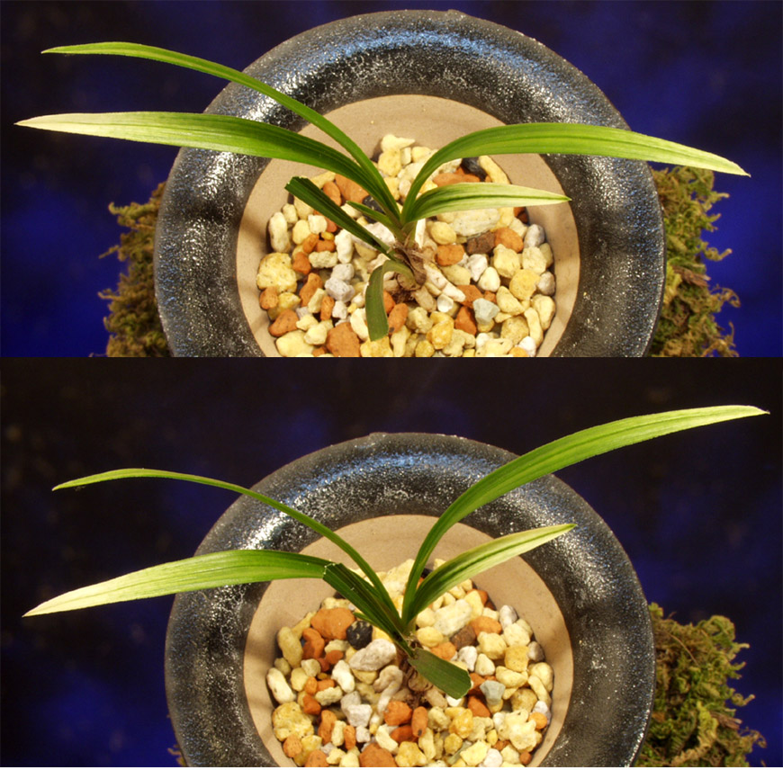 ������ ū������ �� �� �ֽ��ϴ�.