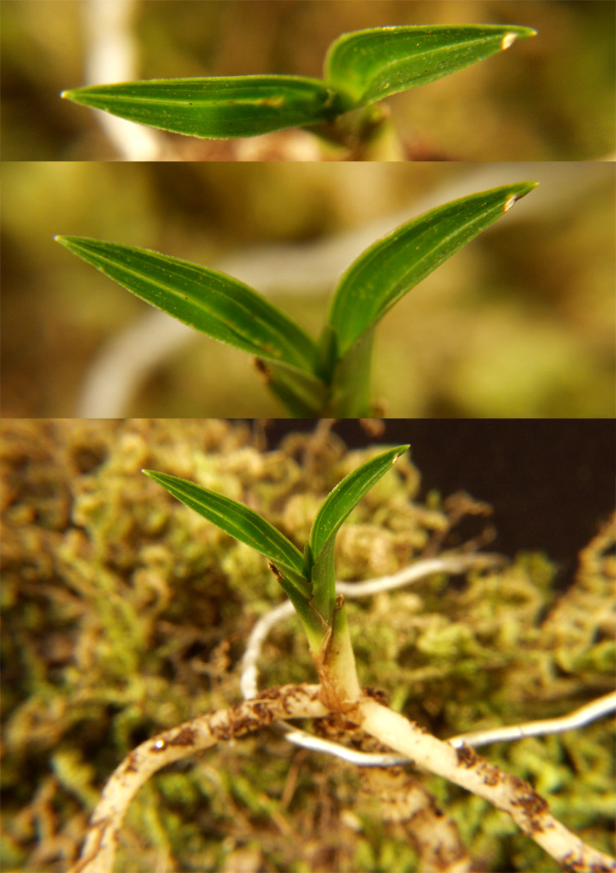 ������ ū������ �� �� �ֽ��ϴ�.