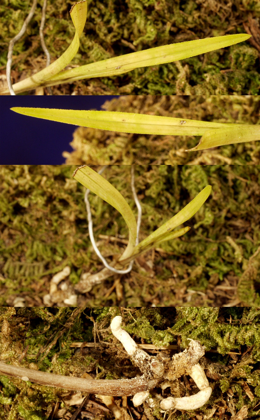 ������ ū������ �� �� �ֽ��ϴ�.