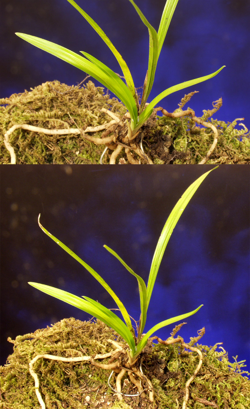 ������ ū������ �� �� �ֽ��ϴ�.