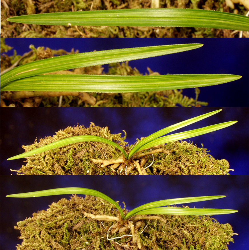 ������ ū������ �� �� �ֽ��ϴ�.