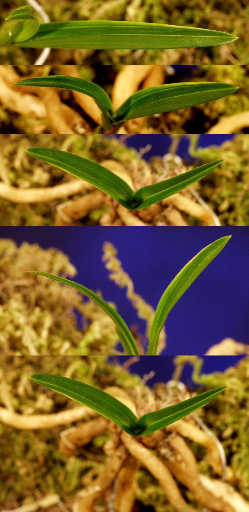 ������ ū������ �� �� �ֽ��ϴ�.