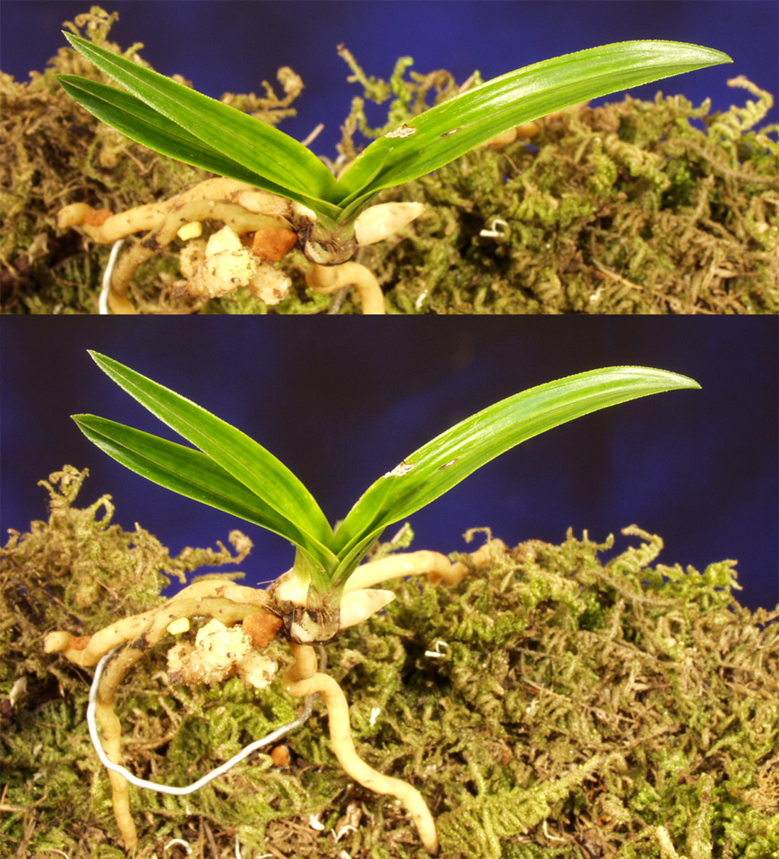 ������ ū������ �� �� �ֽ��ϴ�.