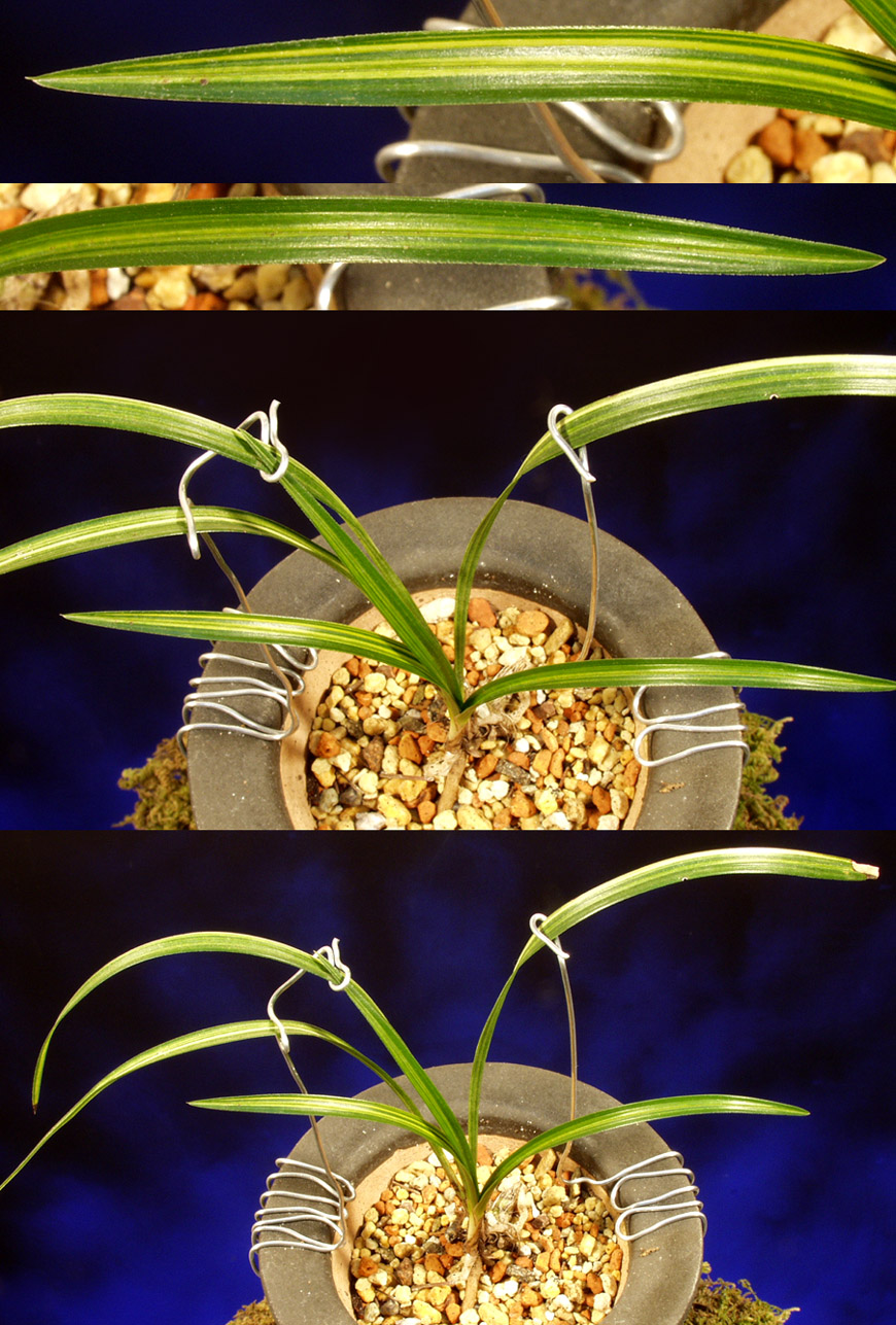 ������ ū������ �� �� �ֽ��ϴ�.