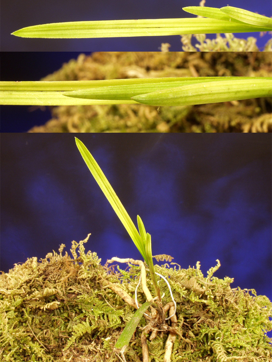 ������ ū������ �� �� �ֽ��ϴ�.