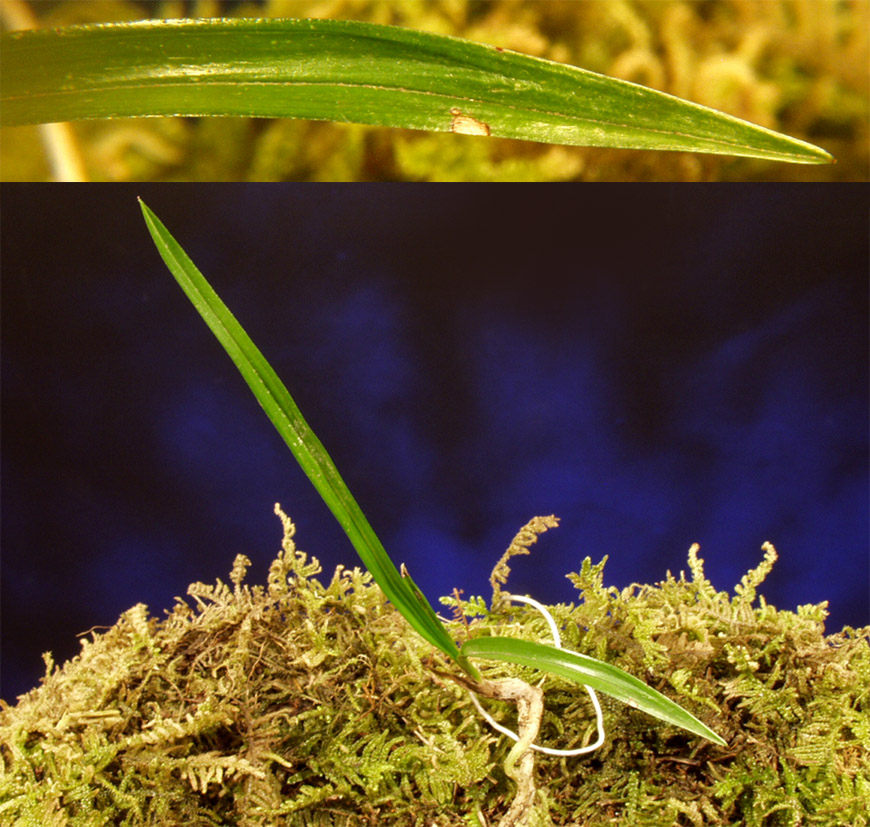 ������ ū������ �� �� �ֽ��ϴ�.